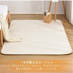 定価4280円◆200×250cm カーペット　アイボリー