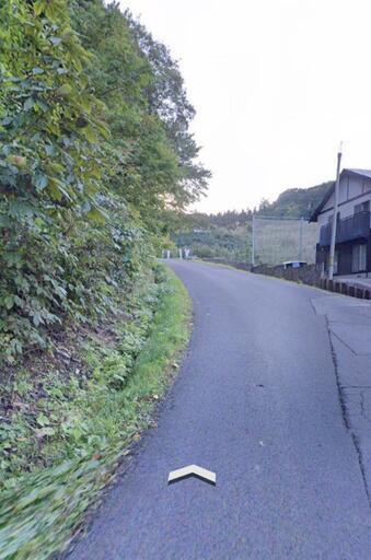 杉の木付き☆☆激安☆山林③