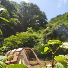 マイキャンプ：葉山堀内森戸キャンプサイト