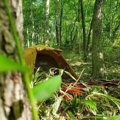 マイキャンプ：西郷村鶴生キャンプサイト