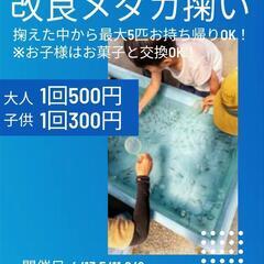 5月11日（土）繁栄商店街アーケード内のイベントに出品します！