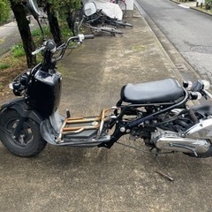 HONDA zoomer ホンダ　ズーマー　車体本体