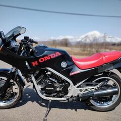 HONDA　VT250FE