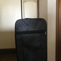 キャリー　お買い物や1泊旅行