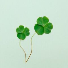 🍀カウンセラーを始めたいの社会人🍀のための学べるコミュニティ✨メ...