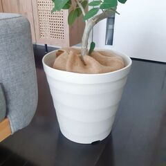 ◼️クラフトポット35型◼️大型植木鉢　