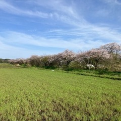 ⭐︎バイク仲間を募集します⭐︎