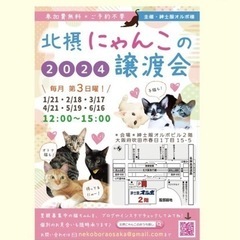 ４月２1日犬猫譲渡会❗️in吹田市