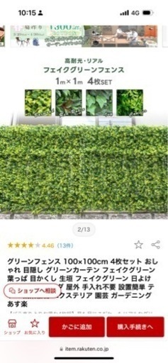 早い者勝ち【フェイクグリーン目隠し】