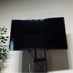 テレビ　TOSHIBA   REGZA  32V34  2021年製