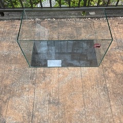 GEX ガラス水槽 グラステリア600 (60cm水槽(単体) 