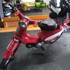 激レア　リトルカブCubra50cc