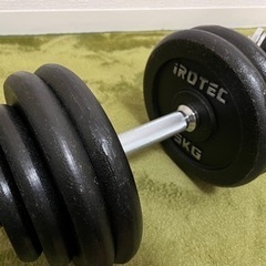 ダンベル30kg×2 60kgスポーツ フィットネス、トレーニング