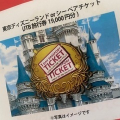 ディズニーに一緒に行ける人募集