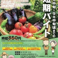 【時給900円】9月中旬迄の短期★夏休みだけの短期もOK★誰でも...