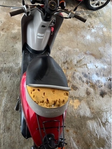 ホンダ トゥデイ TODAY AF67 FI 5956km 50cc 4スト NFS501SH8 2008年製