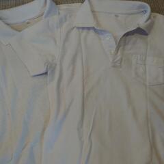 【お相手決定】小学生男子用 140cm 白の半袖ポロシャツ