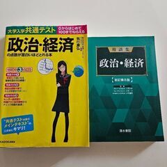 大学入試　政治・経済参考書2冊セット(中古)
