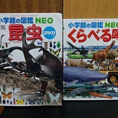 【図鑑】小学館の図鑑NEO 2冊セット