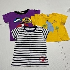 80サイズ　Tシャツ　3枚セット