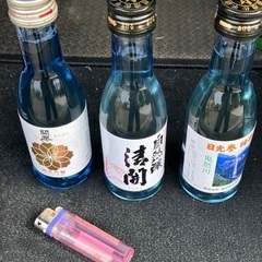日本酒　利酒セット　日光