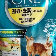 ピュリナワン 3.4kg 猫 餌