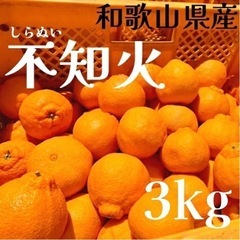 和歌山県産　不知火　しらぬい　3kg デコポン