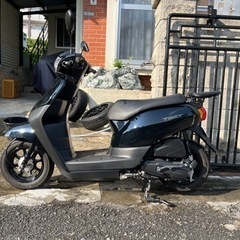 原付　バイク　50cc ホンダ　タクト