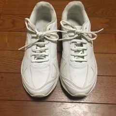 通学用靴/25.0cm3E 白　ウインブルドン　靴 スニーカー