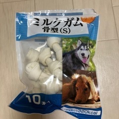 犬