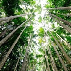 平日休みの友達募集！です