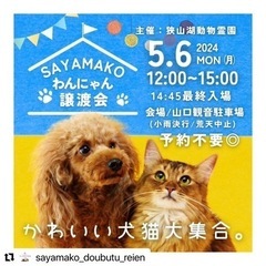 保護犬保護猫のビックな譲渡会