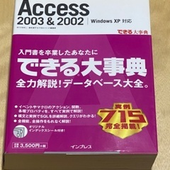 Access 2003 & 2002 : Windows XP対応
