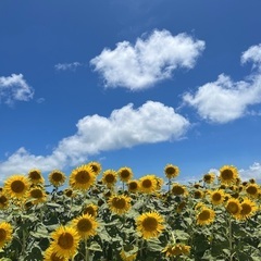 宮古島 お笑い好きな方