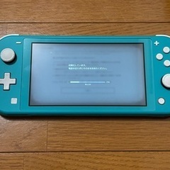 Nintendo Switch lite 