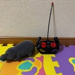 ネズミ型ラジコンカー