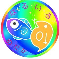 🌸メダカフェス関東vol2🐟はるいろめだか🌸大好評１セットALL１０００円祭🌸 - イベント