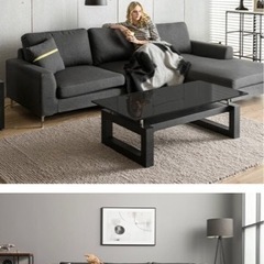 破格‼️関東圏内ならOK‼️ ARMONIA   Salno  カウチソファ