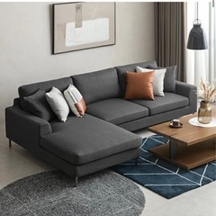 破格‼️関東圏内ならOK‼️ ARMONIA   Salno  カウチソファ