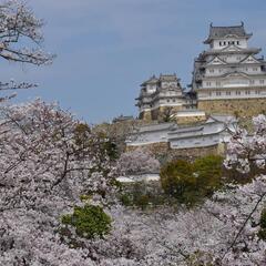 ライン友達がほしいです。