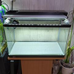 GEX６０センチ水槽セット