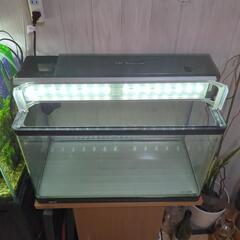 GEX６０センチ水槽セット