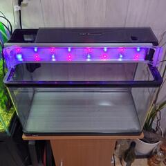 GEX６０センチ水槽セット