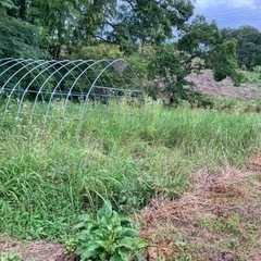 草刈り ハンマーナイフモアで草を粉砕します！