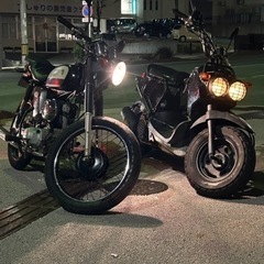 バイク ホンダ　ズーマー
