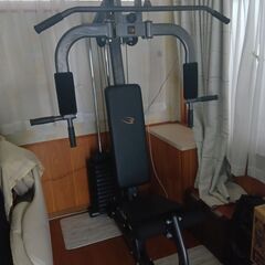 BODYMAKER(ボディメーカー)のホームジムDX