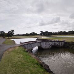 仲間求む、居ませんか〜。