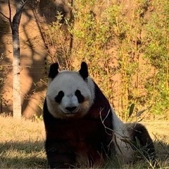 近隣の遊び仲間募集