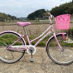 22インチ　　自転車