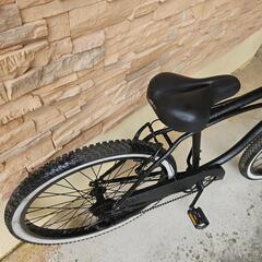 US. ビーチクルーザー ギア付き